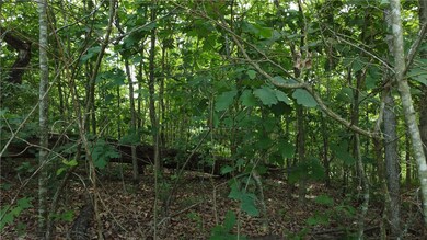 0 Buckland Ln, Bella Vista, AR 72715 - photo 7