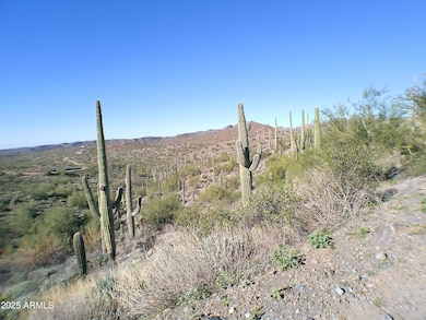 0 E Silver Tip Rd unit 6955485, Queen Valley, AZ 85118 - photo 4