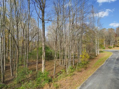 Lot 14 Highpoint Ridge Ct, Ellijay, GA 30536 - photo 5