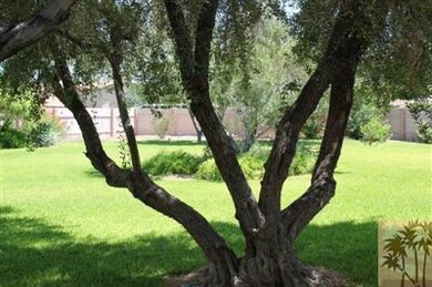 711 El Parque Dr, Blythe, CA 92225 - photo 3