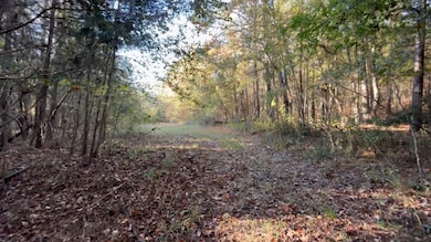 3294 Brady Rd, Letohatchee, AL 36047 - photo 7