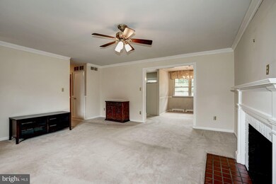 3229 Magnolia Ave, Falls Church, VA 22041 - photo 4