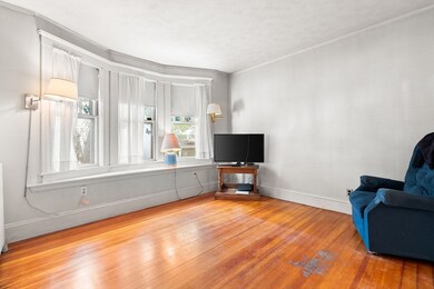 67-69 Berwick St, Belmont, MA 02478 - photo 6