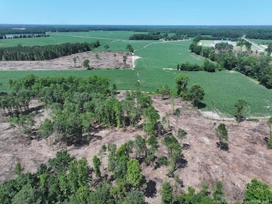 TBD Nc Hwy 71 Hwy, Red Springs, NC 28377 - photo 5