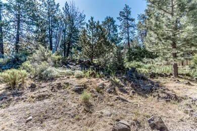 60906 Alpine Dr, Bend, OR 97702 - photo 4