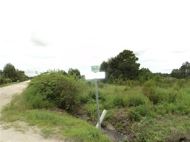 35315 Broken Bit Ln, Zephyrhills, FL 33541 - photo 2