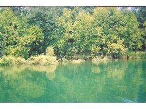 Lot 6 Montego Dr, Ruth B Rural Township, MO 65686 - photo 2