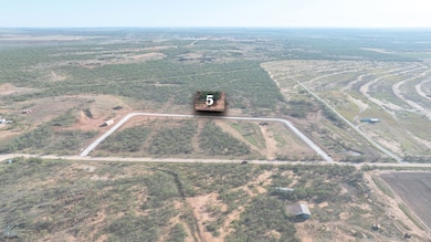 14437 County Road 421, Merkel, TX 79536 - photo 3