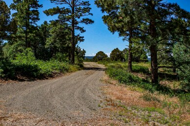4207 Cedar Ridge Ln unit B34, Trinidad, CO 81082 - photo 6