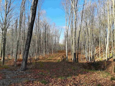 Lot 3A Hoyt Run, Stewartstown, NH 03576 - photo 2