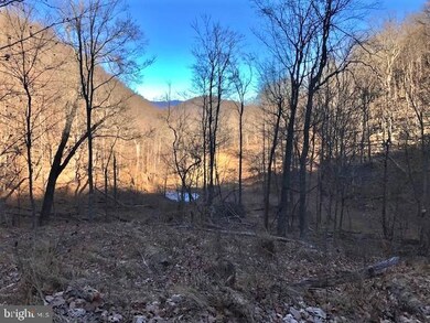 0 Roy Hyre Hollow Rd unit WVGT2000174, Petersburg, WV 26847 - photo 4