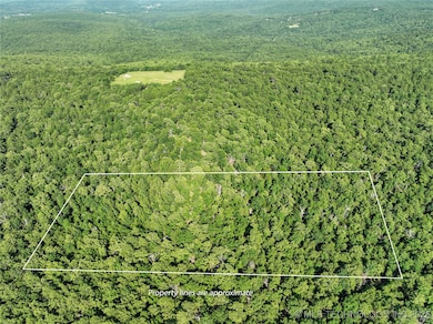 unlisted-address, Panola, OK 74578 - photo 3