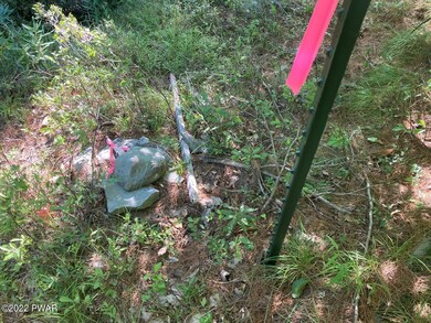 Lot 176 Tink Wig Dr, Lackawaxen Township, PA 18428 - photo 4