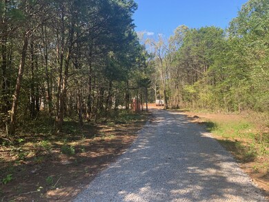 The view coming down the drive! Hard to find Privacy!!