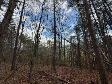 Lot 3 Parksville Rd, Benton, TN 37307 - photo 4