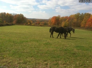 HORSES GRAZING IN PASTURE