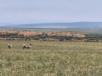 B St unit Rock River WY 82083, Rock River, WY 82083 - photo 6