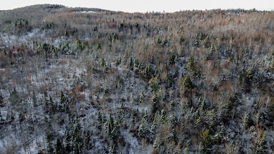 Lot 1 & 2 Thistle St, Upton, ME 04261 - photo 7