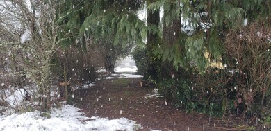 driveway from road towards back