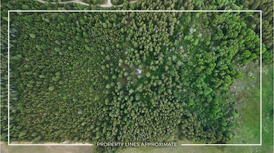 221 Trask Pond Rd, Newport, WA 99156 - photo 3