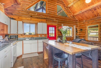 9608 19 Mile Rd, Tustin, MI 49688 - photo 6