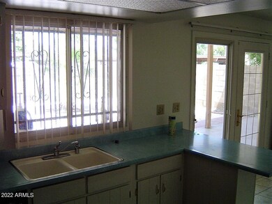 ELLIS kitchen and backyard (2)