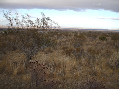 00 SE Bob Gap Rd, Llano, CA 93544 - photo 2