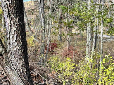 75 Isner Creek Rd, Elkins, WV 26241 - photo 3