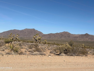 0 Bayleaf Dr, Meadview, AZ 86444 - photo 2