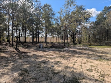 23360 SW Tiger Lake Blvd, Dunnellon, FL 34431 - photo 4