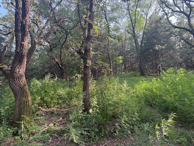 Lot 7 Block 2 1st St, Crofton, NE 68730 - photo 5