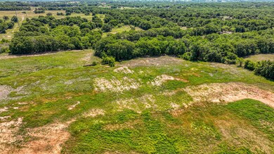 Lot 40 Leo Ln, Poolville, TX 76487 - photo 3