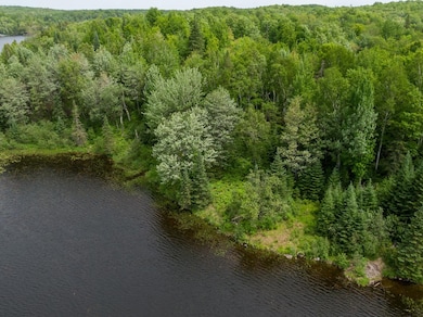 Off Pomeroy Lake Rd unit Lot 27, North of Presque Isle, MI 49947 - photo 5