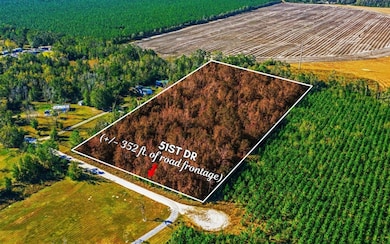 Tbd 51st Dr, Live Oak, FL 32060 - photo 2