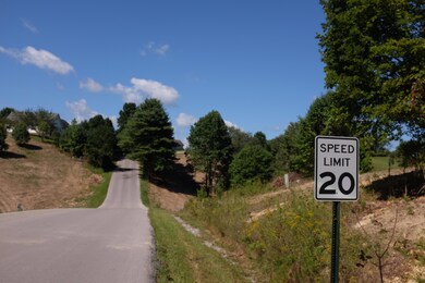 1 Golden Pond Dr, London, KY 40744 - photo 5