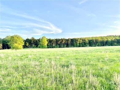 Tract 14 Merle Branch Ln, Heavener, OK 74937 - photo 5