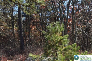 0 Buck Mountain Blvd unit 762442, Hazleton, PA 18202 - photo 3