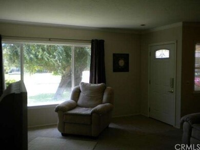 Large picture window - double pane windows