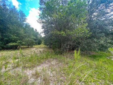 Lot View