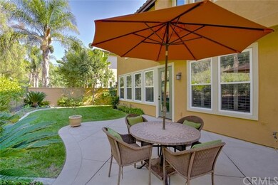Lush green backyard
