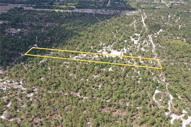 xx Frangipani Ave, Naples, FL 34117 - photo 4