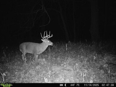 00000 20th Rd, Yates Center, KS 66783 - photo 7