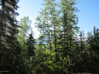 shaskan 003