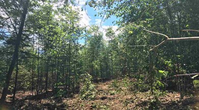 0 Heritage Hill Rd unit 13 & 14 4647539, Conway, NH 03813 - photo 5