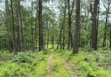 0 Woodmont Rd unit 23667528, Great Cacapon, WV 25422 - photo 6