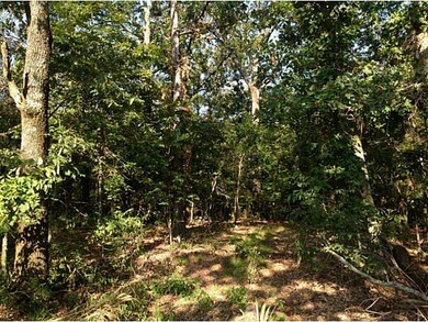 0 On Hwy 43 Hwy unit 687763, Siloam Springs, AR 72761 - photo 5