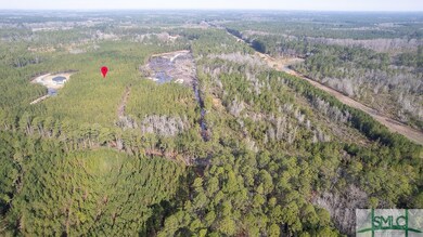 0 Old Tusculum Rd unit 305411, Springfield, GA 31329 - photo 6