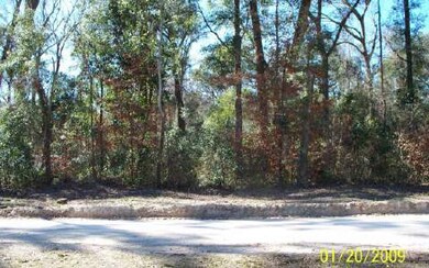 0 Central Terrace unit 69675, Fort White, FL 32030 - photo 2