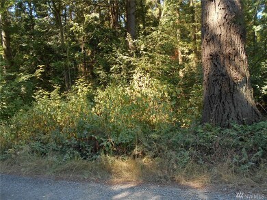 6019 310th St NW, Stanwood, WA 98292 - photo 3