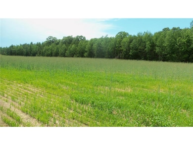 LOT 6 Maple Ln, Siren, WI 54872 - photo 6